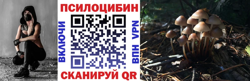 ОМГ ОМГ вход  Новомосковск  Галлюциногенные грибы Cubensis 
