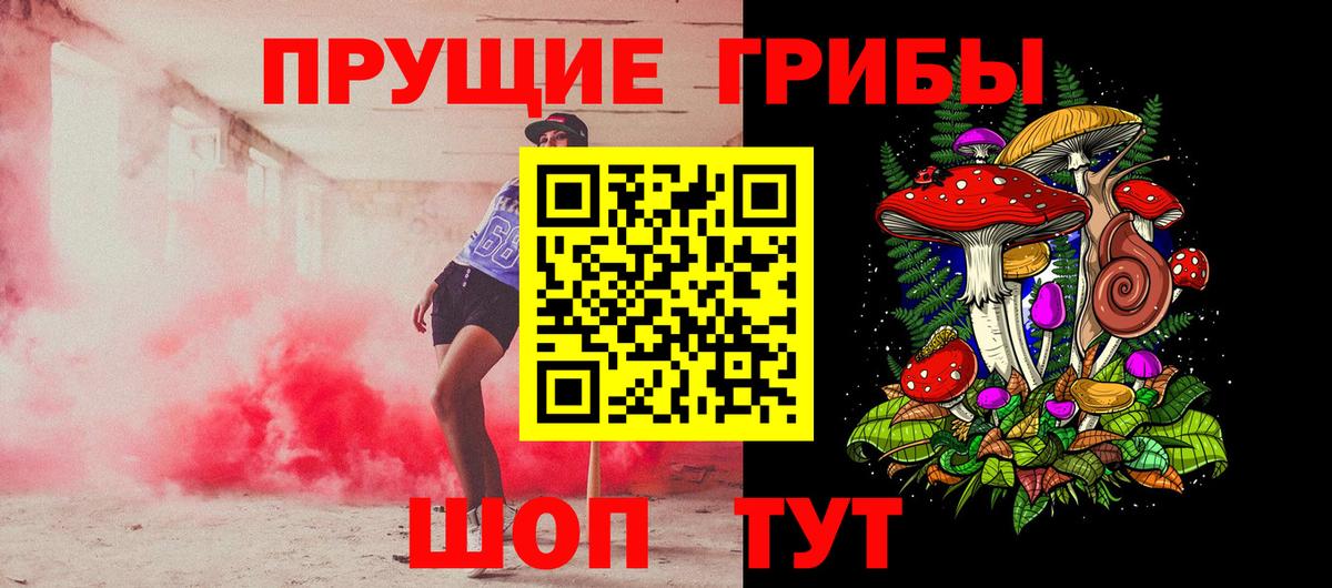 Псилоцибиновые грибы мицелий Новомосковск