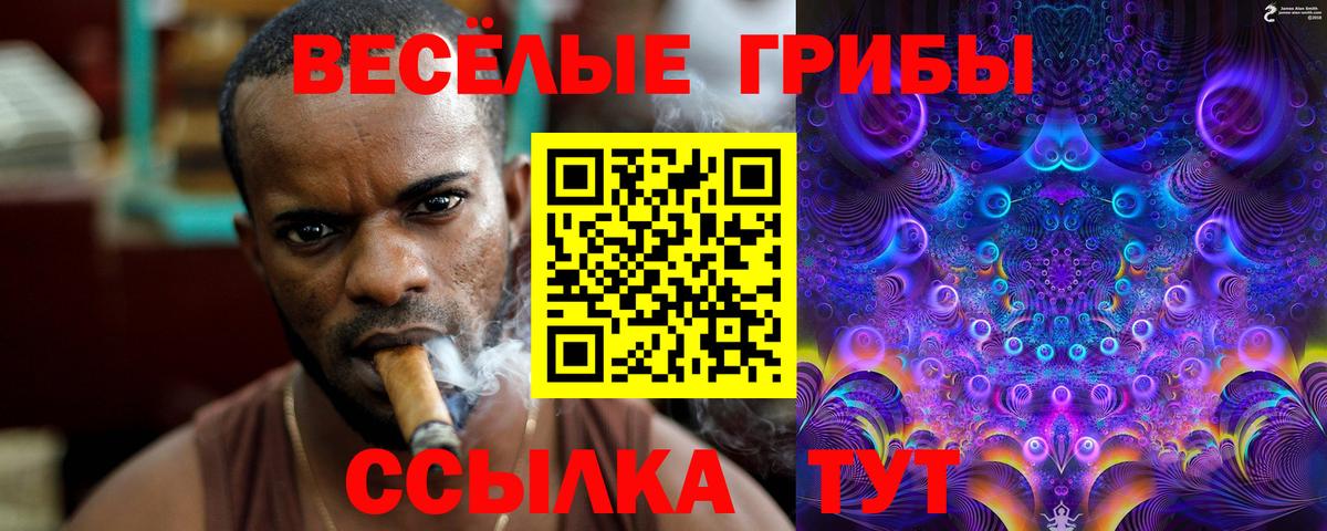 Псилоцибиновые грибы MAGIC MUSHROOMS  Вход с VPN  Новомосковск 