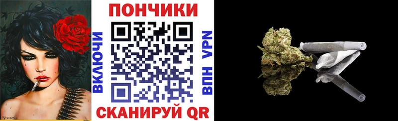 купить наркотики цена  Новомосковск  mega ССЫЛКА  Канабис Amnesia 